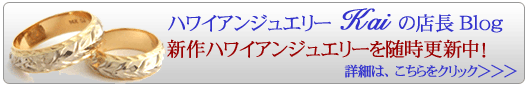 譁ｰ菴懊ワ繝ｯ繧､繧｢繝ｳ繧ｸ繝･繧ｨ繝ｪ繝ｼ譖ｴ譁ｰ荳ｭ